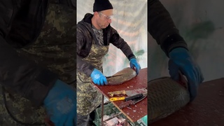 Мастер-класс по чистке сазана