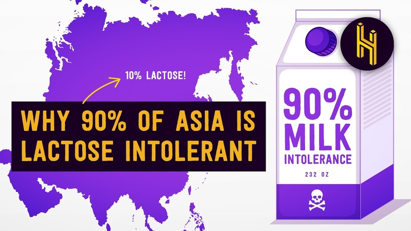 Why 90 of Asians are Lactose