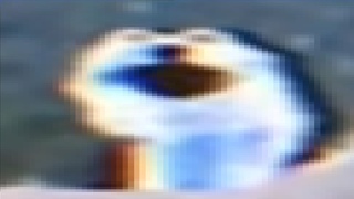 Screaming blue thing