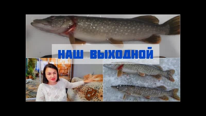 БРОСИЛА МУЖА ОДНОГО ГОЛОДНОГО НА ХОЛОДЕ, А ОН ДОБЫТЧИК В