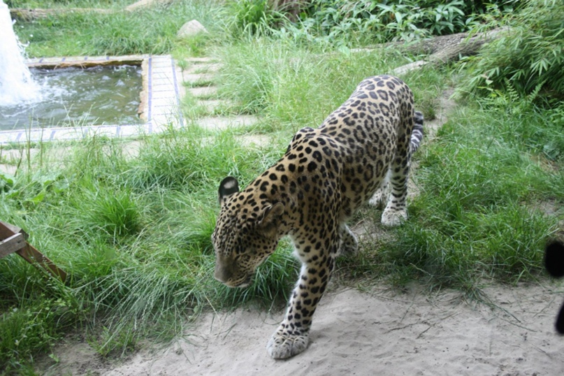 Павел Старков | Мелитополь