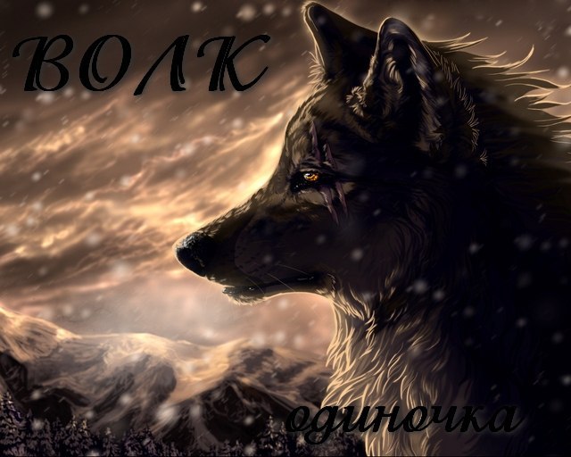 Николай Андреев | Волоколамск