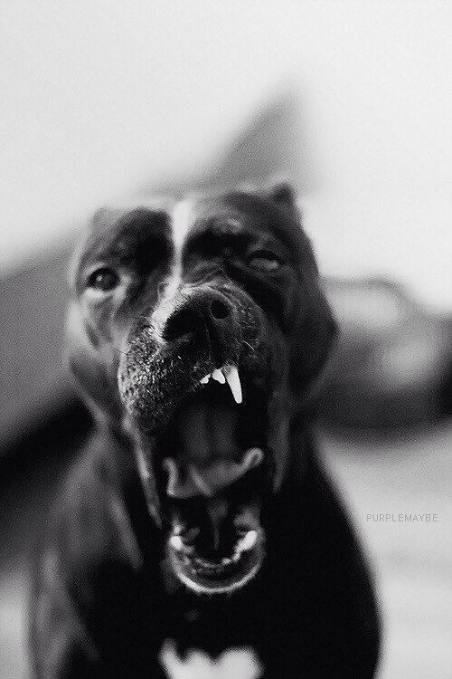 Андрей Чистяков | Москва