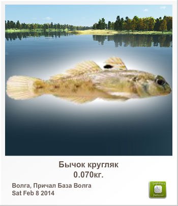 Елена Зуева | Екатеринбург