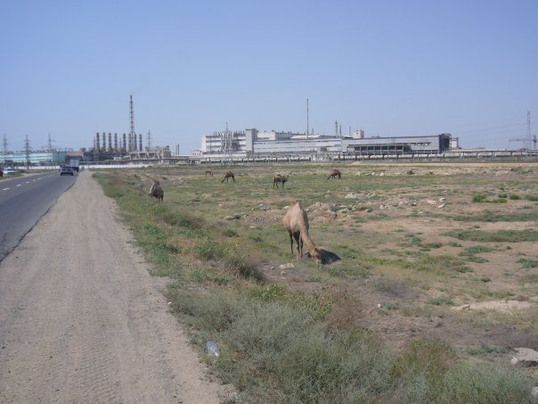 Александр Подвязный | Санкт-Петербург