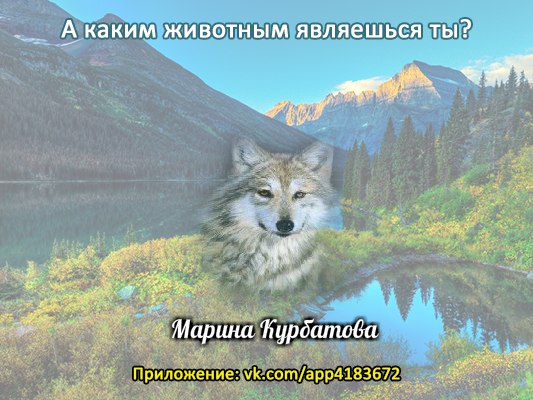 Марина Курбатова | Днепр (Днепропетровск)