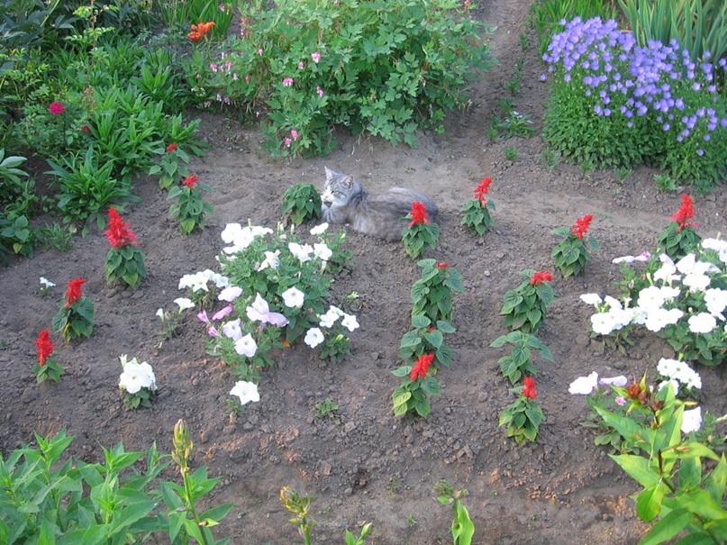 Елена Овсянникова | Минск