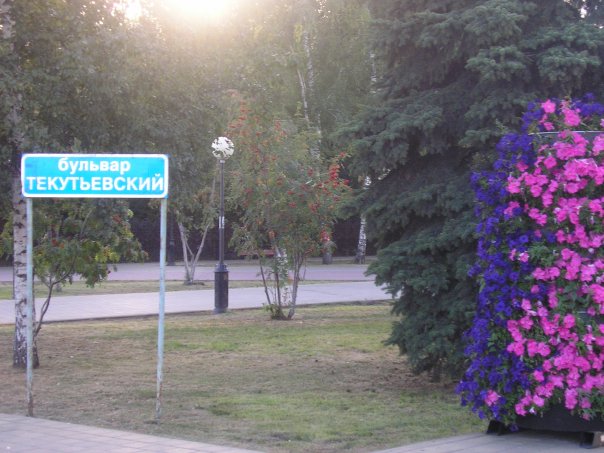 Алёна Сергеева | Челябинск