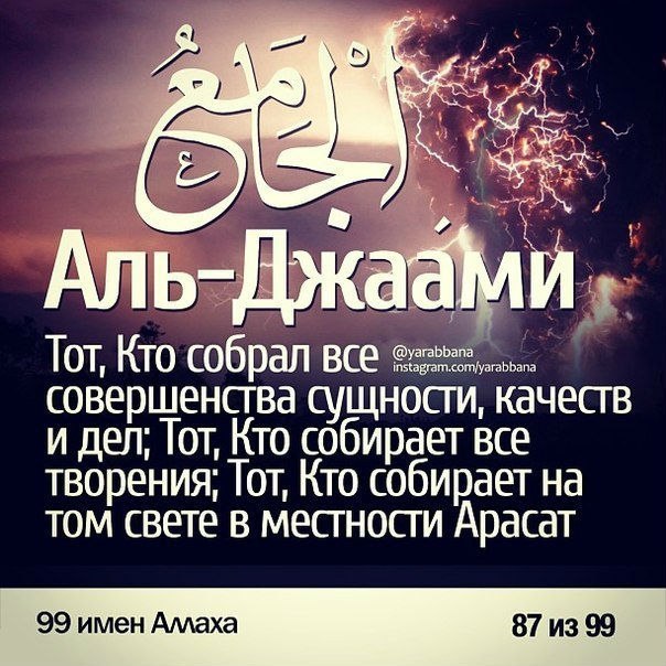 Альбина Шарипова |