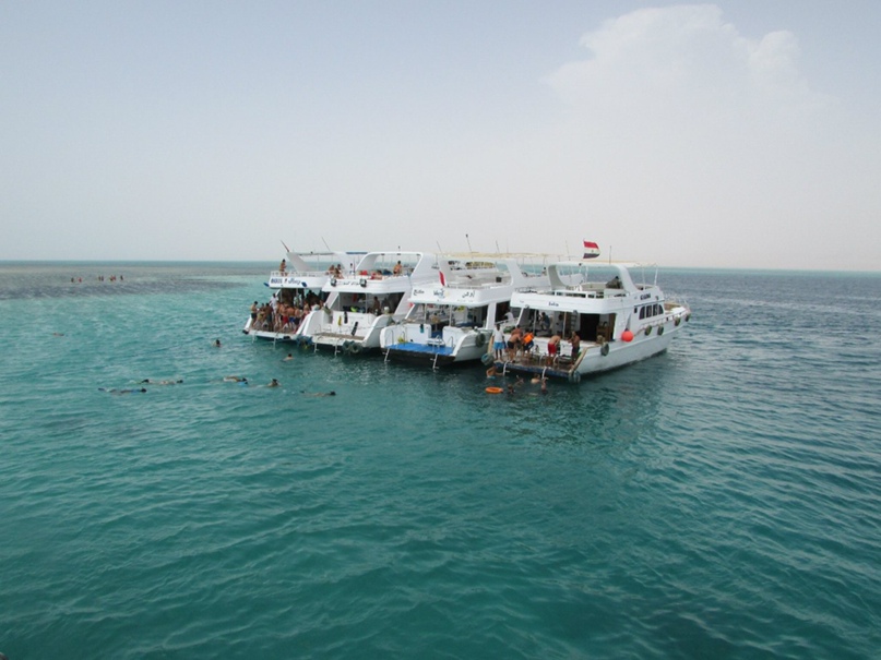 Денис Панин | Москва