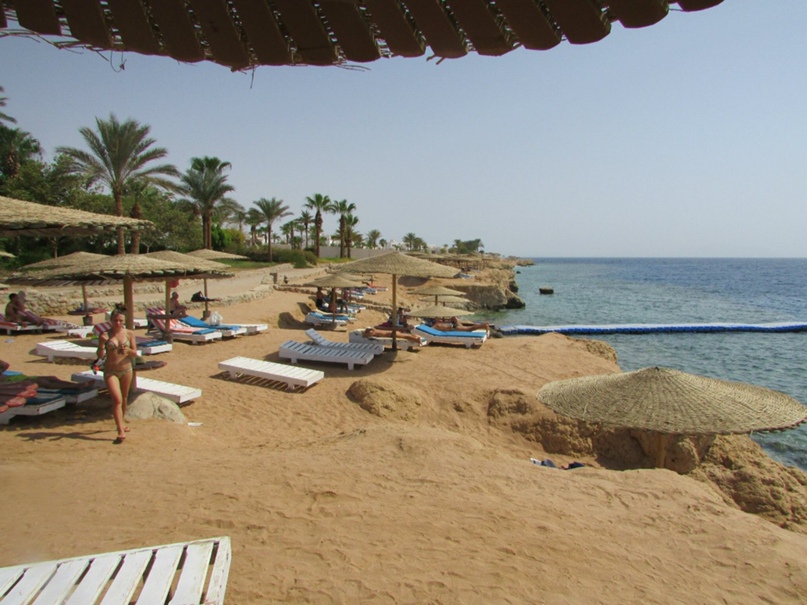 Денис Панин | Москва