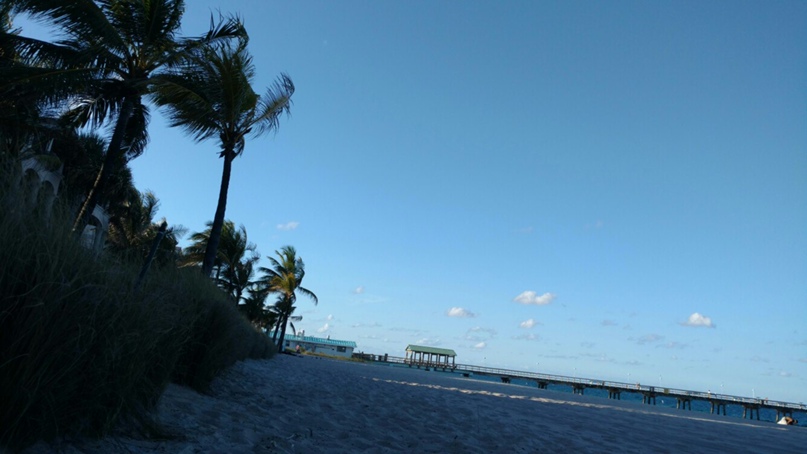 Алексей Воробьев | Miami