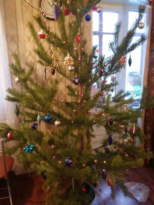 Екатерина Раевская | Санкт-Петербург