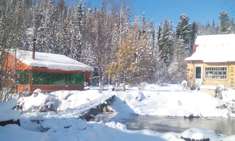 Дмитрий Белоусов | Таштагол