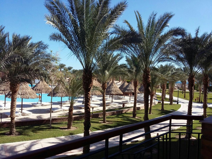 Елена Богданович | Минск