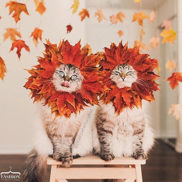 Наташа Наташина | Москва