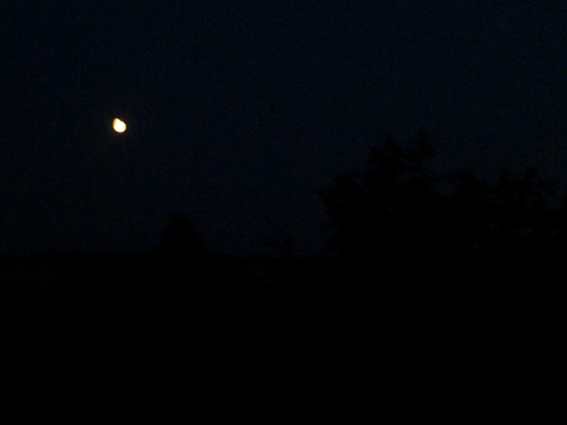 Татьяна Шичкина Борисовна | Красноярск