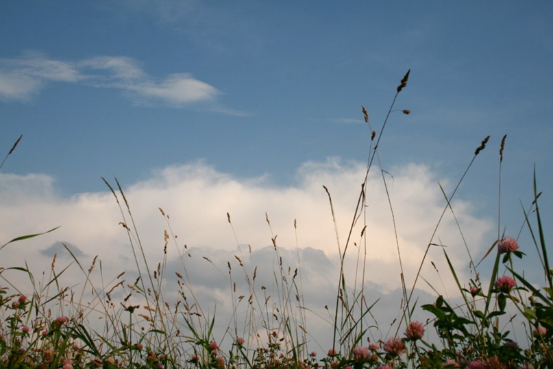 Ирина Елизарова | Домодедово