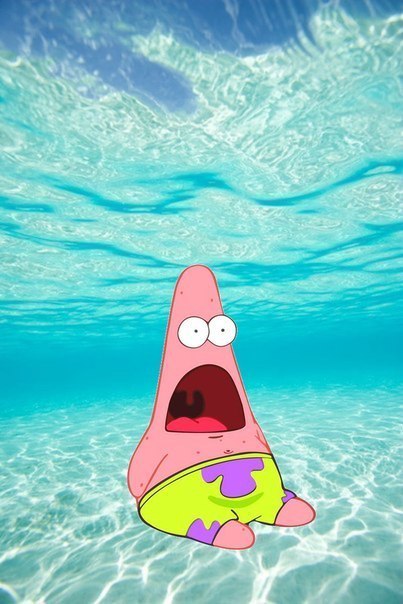 Глеб Паламарчук | Симферополь