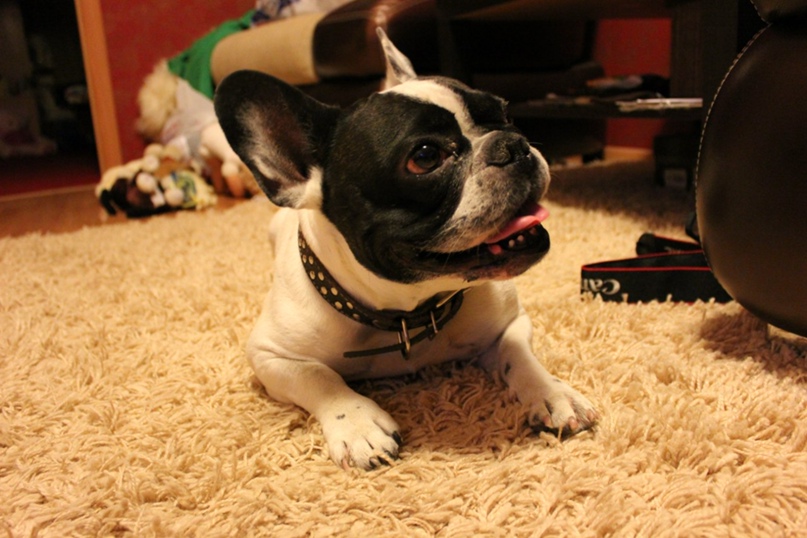 Елена Копылова | Орск