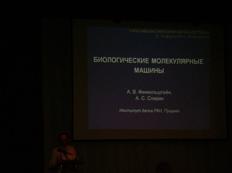 Маргарита Комарова | Санкт-Петербург