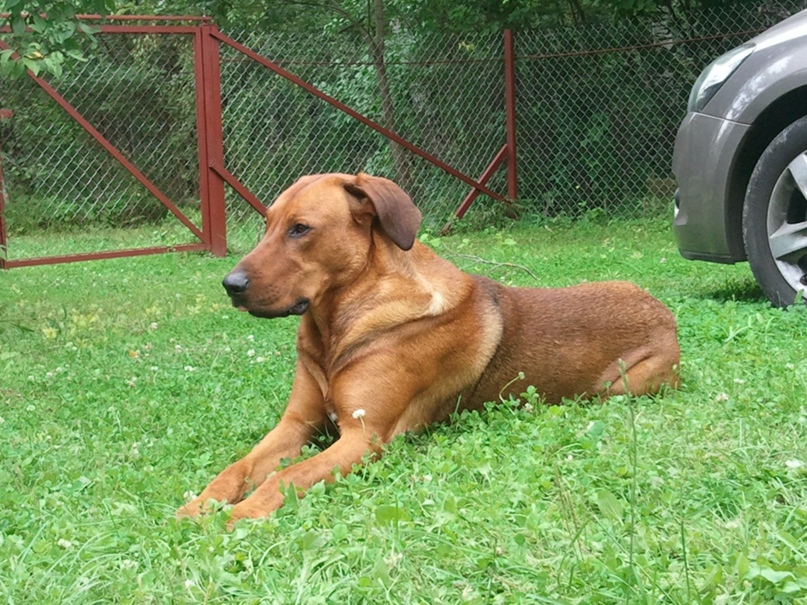 Игорь Смирнов | Москва