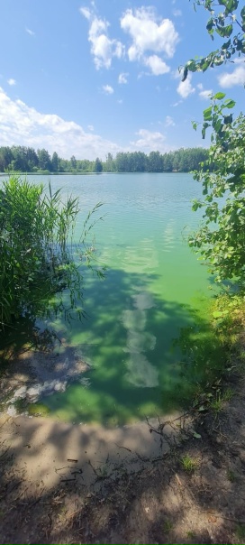 Привет! Кто в курсе,- как вода сейчас на Голубых Озерах? Были 30 июня,вода жутко цвела