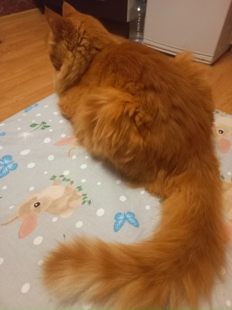 Батон с рогаликом выпекали одновременно до золотистой корочки. Приятного!