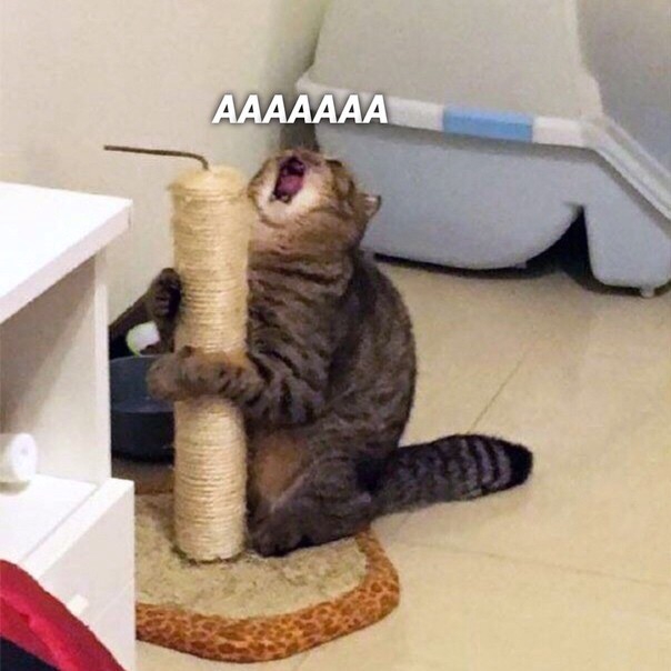 Екатерина Сташкевич | Солигорск