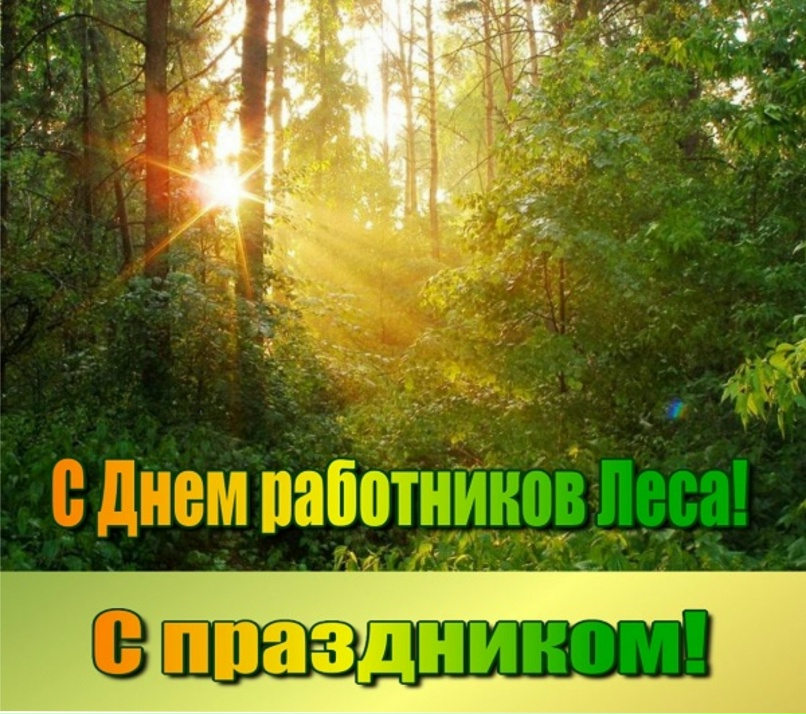 День работников леса! - Тебердинский национальный парк