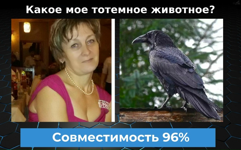 Татьяна Вавилова | Волколата