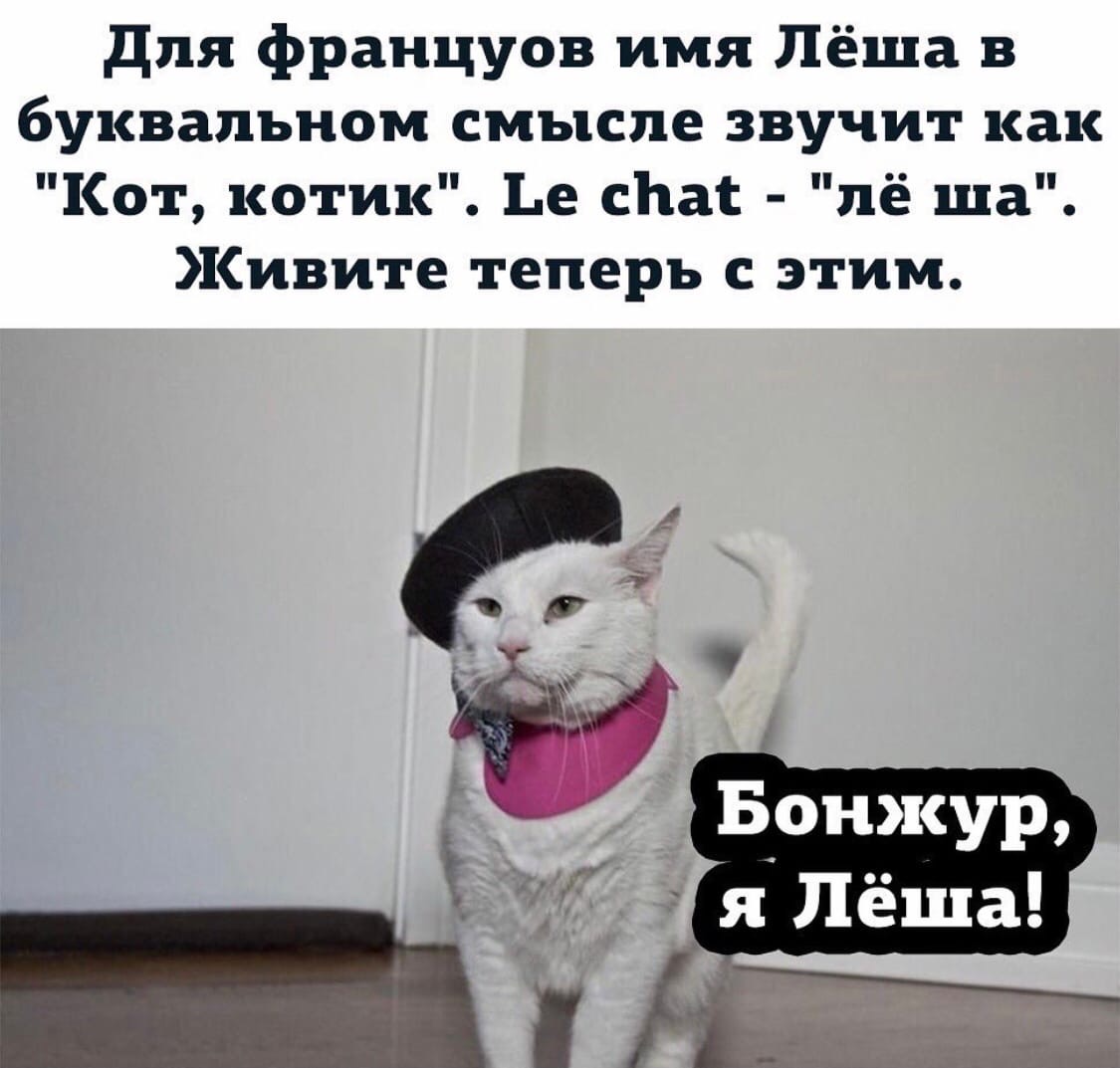 Для французов имя Леша в буквальном смысле звучит как кот