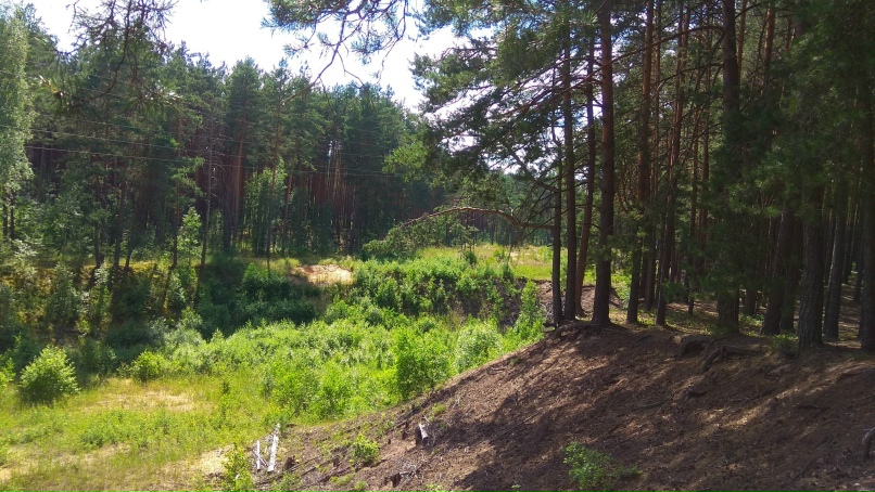 Елена Рогова | Калуга