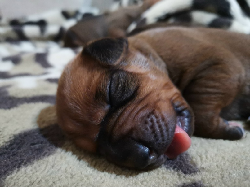 Валентина Алексеева | Уфа