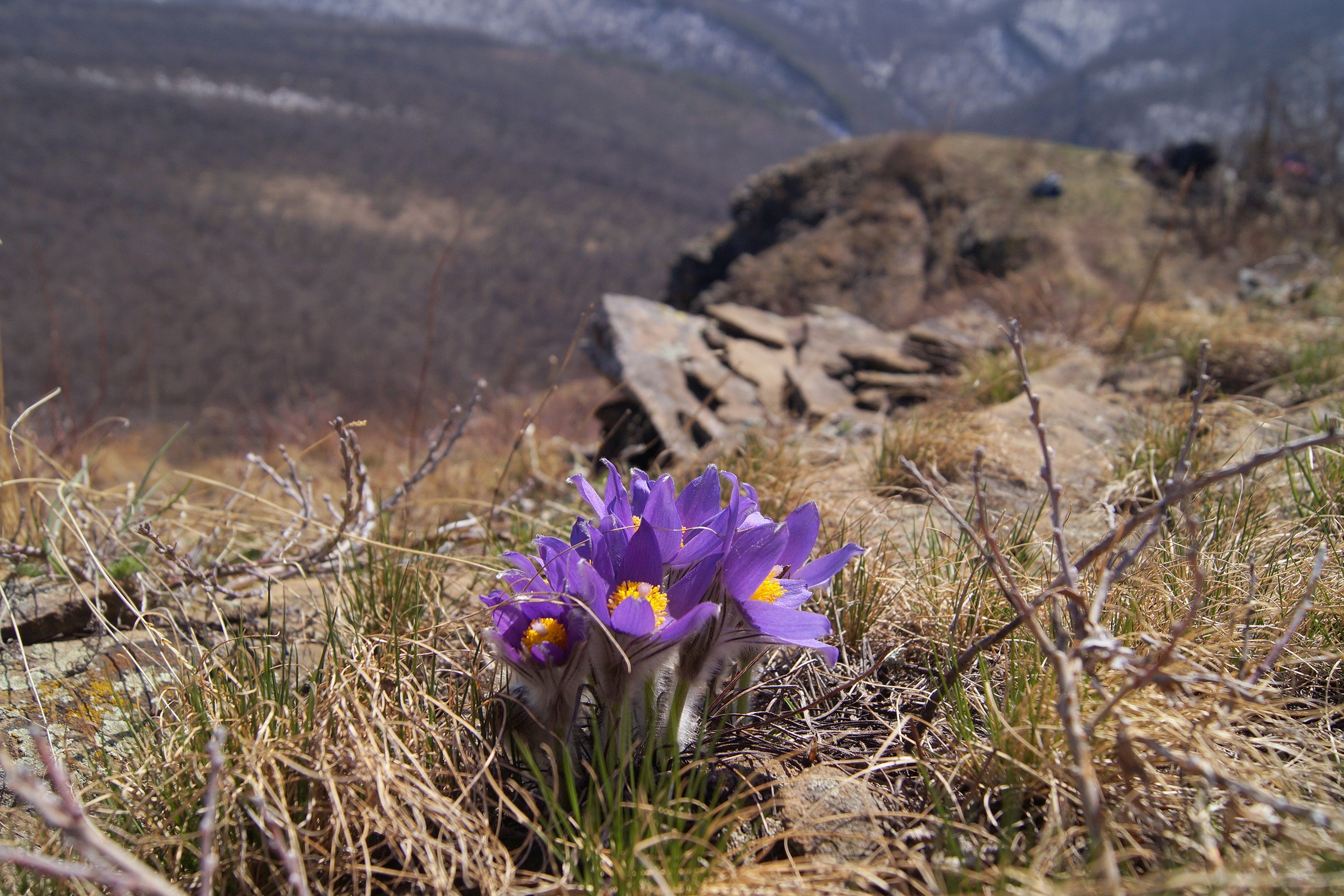 dEWBBJZ3vXk.jpg?size=2560x1707&quality=9