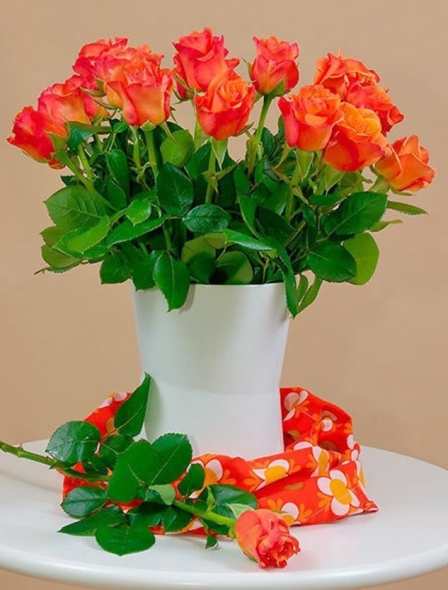 Анна Усачёва | Строевское