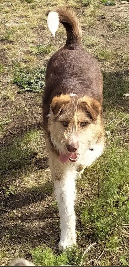 Светлана Репина | Саратов