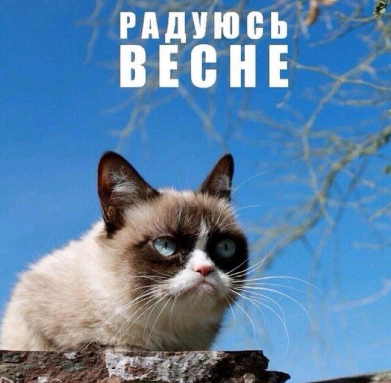 первый день весны юмор