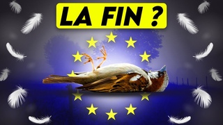 Comment 800 millions doiseaux ont soudainement disparu