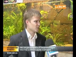 Как заработать на рыбках