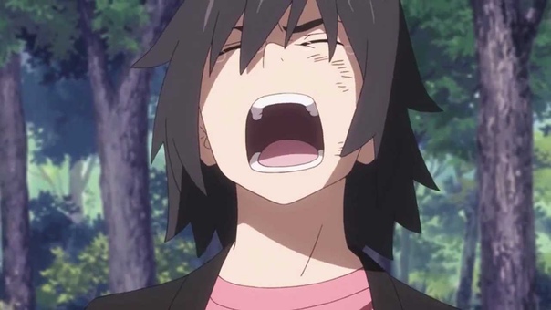 anim