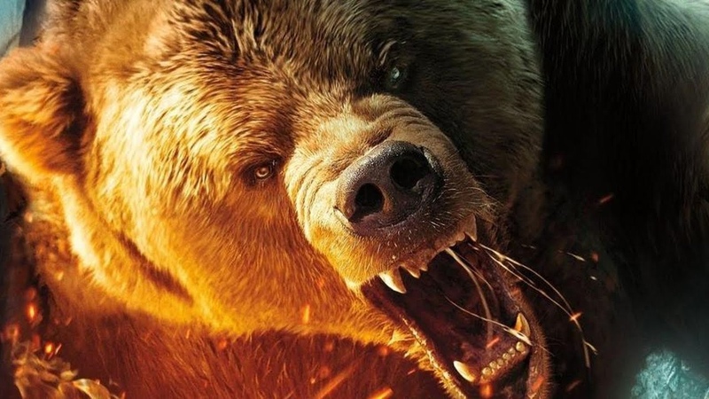 Best Survival Thriller Movie 2019 Hollywood Adventure Horror Movies in