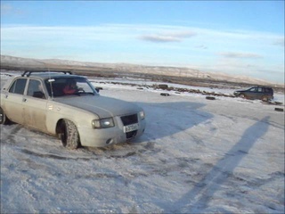 Gaz 31029