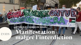 Guerre Isral-Hamas :  Lyon, une manifestation pro-palestinienne disperse par la police