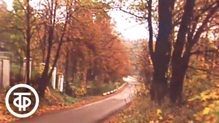 Музей-усадьба Абрамцево. Осень (1982)