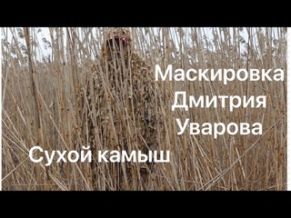 Маскировка Дмитрия Уварова / СУХОЙ КАМЫШ