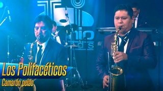 Camaron pelao - Los polifaceticos