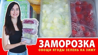 БОЛЬШАЯ ЗАМОРОЗКА ОВОЩЕЙ и ЯГОД НА ЗИМУ  Как Заморозить Овощи, Ягоды, Зелень  Сезонная Заморозка