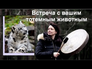 Магические способности. Тотемные животные.
