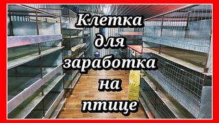 Хочешь ЗАРАБОТАТЬ на ПТИЦЕ в ЛПХ Делай ТАКИЕ брудеры и клетки